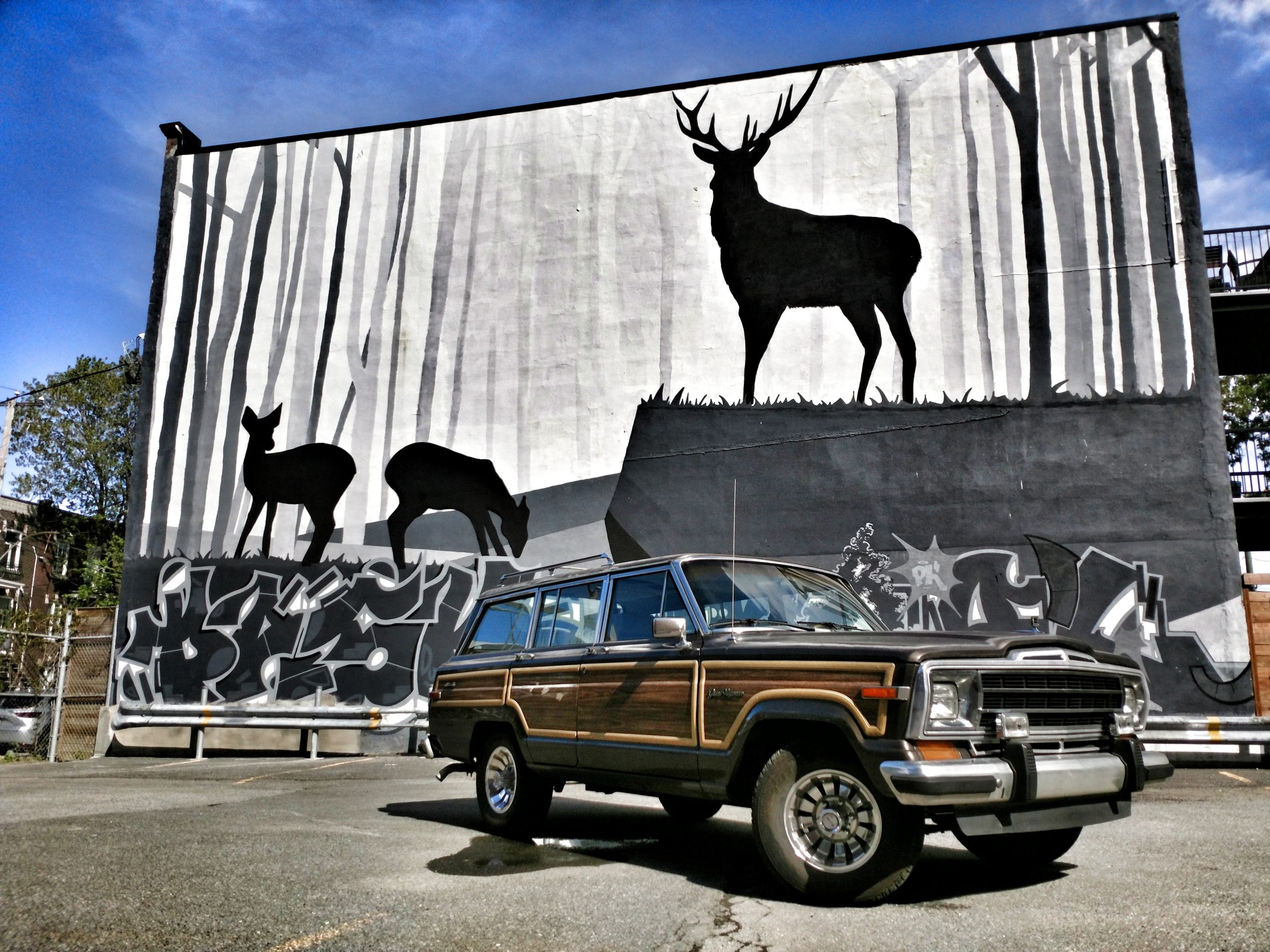 1987 Jeep Grand Wagoneer Project Update